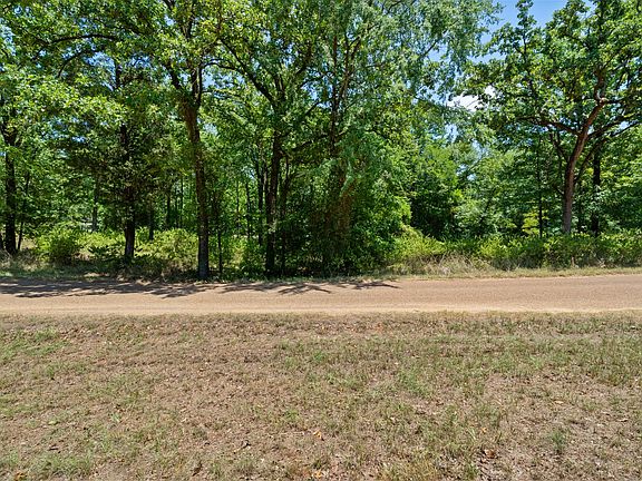 3rd image of 0 Hickory St Lot 90