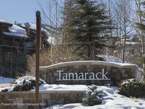 135 Carriage Way #29, Snowmass Village, CO 81615