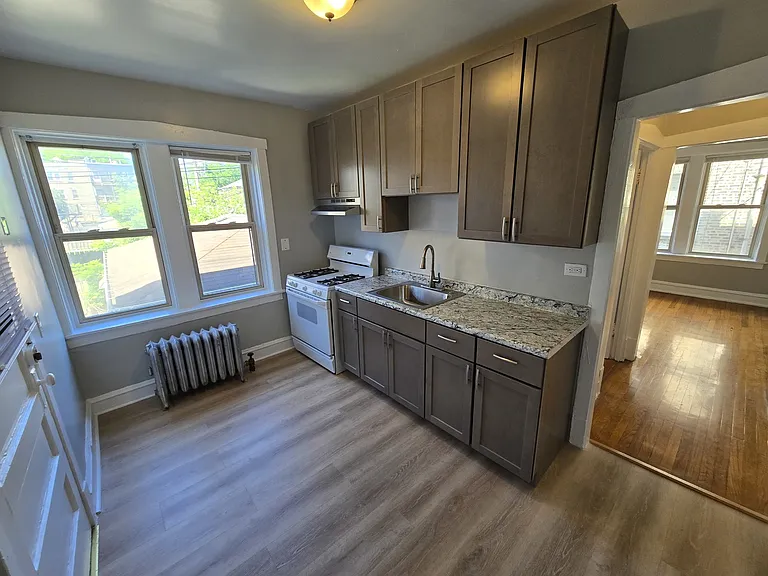 4829 N Springfield Ave #1B — Photo 2