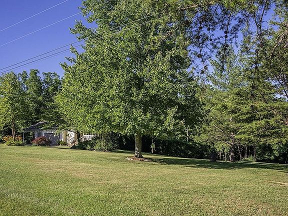 Front yard