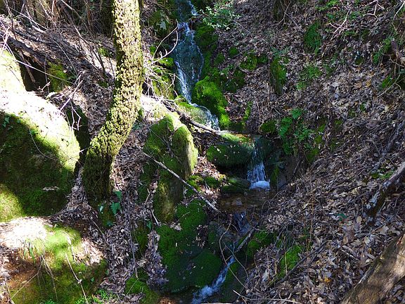 64 6 Acres Hwy 299E Bella Vista CA 96008 MLS 24 1457 Zillow 64-6-acres-hwy-299e-bella-vista-ca-96008-mls-24-1457-zillow