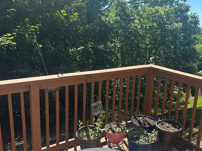 8 Alana Dr #8 — Photo 5