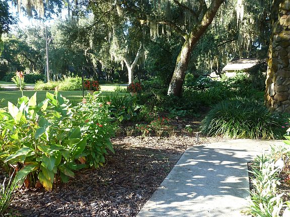 Front garden and stone path