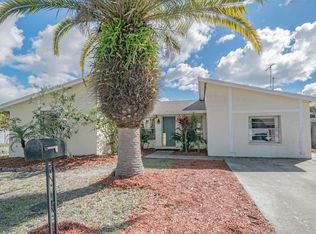 10112 Pine Trails Ct, Tampa, FL 33615