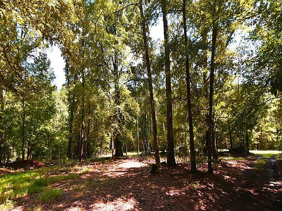 4th image of Mount Olive Ln