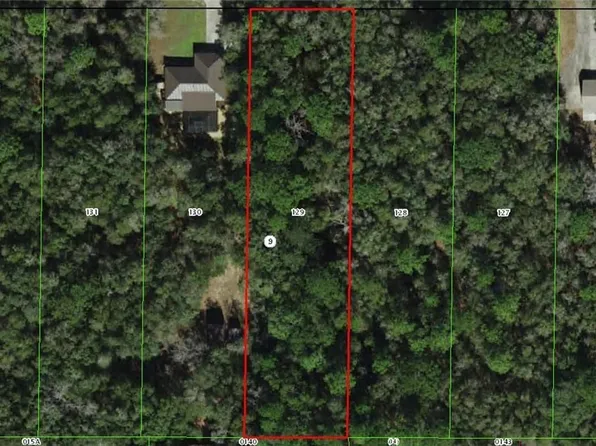 1142 E Bismark St, Hernando, FL 34442