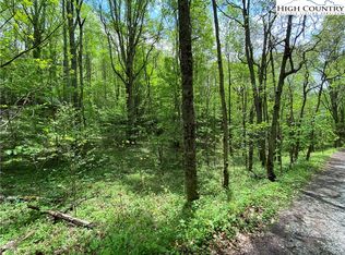 Lots 48 And 49 Rhoneys Vw, Newland, NC 28657