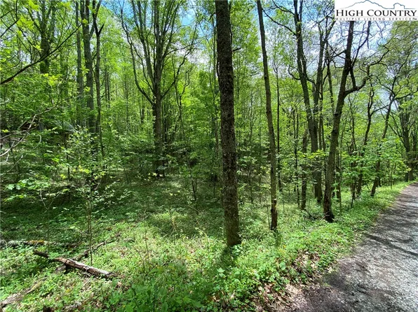 Lots 48 and 49 Rhoneys View, Newland, NC 28657