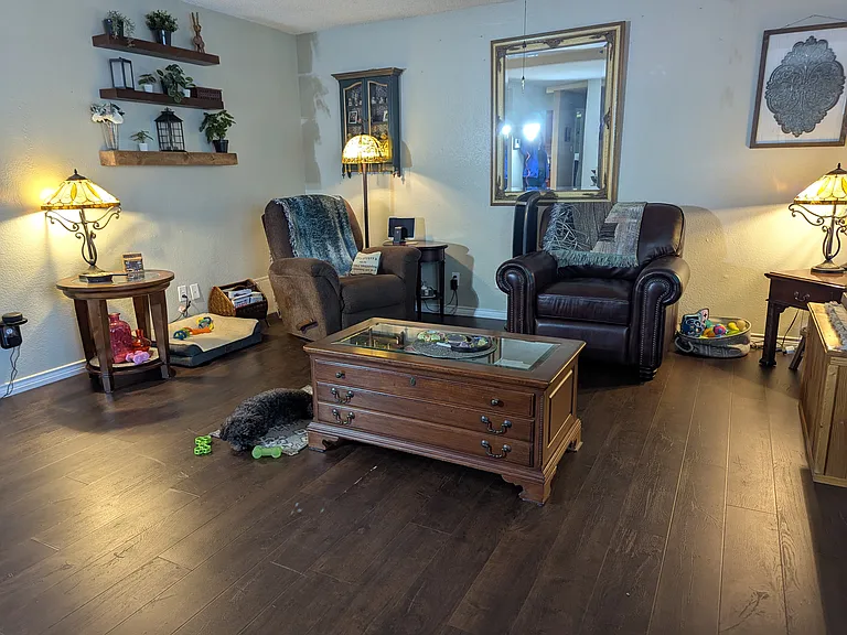 919 Milam Dr — Photo 11