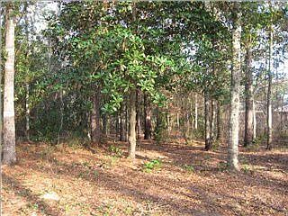 2nd image of 6730 Cook Rd