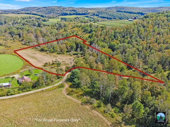 0 Buckwheat Hollow Rd, Lawrenceville, PA 16929