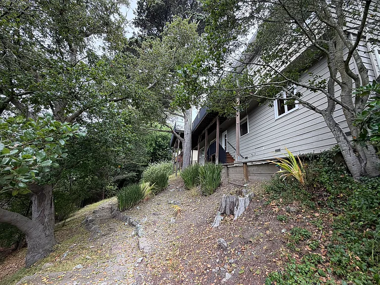 View from lower yard up to back of house. Windows shown are to the lower bedroom.