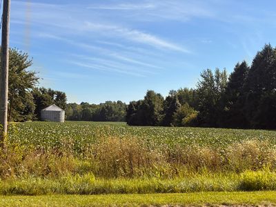 W County Road 365, Lawrence, MI, 49064