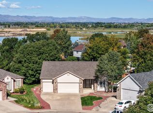 1538 Wedgewood Ct, Windsor, CO 80550