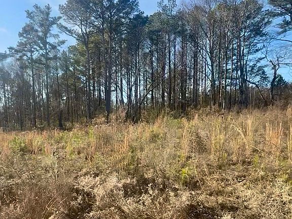 5th image of 549 Chambers Rd