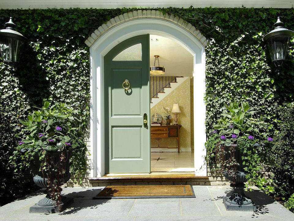 IVY AND FRONT DOOR