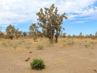 0 N Ruby Rd, Dolan Springs, AZ, 86441