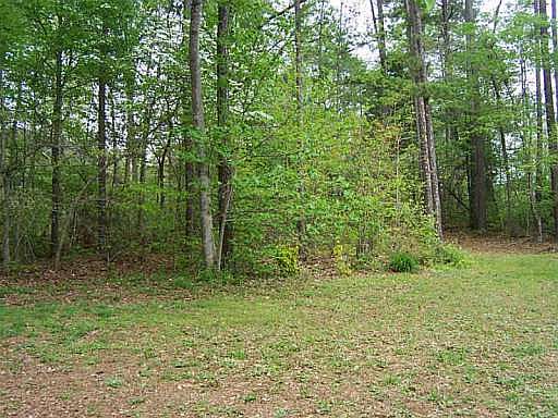 3rd image of 12 Woodvine Dr