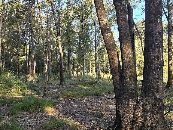 4th image of 7555 Broussard Rd