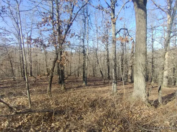 464200 Acorn Rdg, Proctor, OK 74457