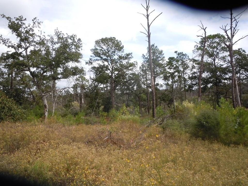 1st image of 316 Tall Forest Dr