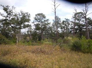 316 Tall Forest Dr, Bastrop, TX 78602