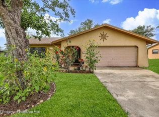 11218 Holbrook St, Spring Hill, FL 34609