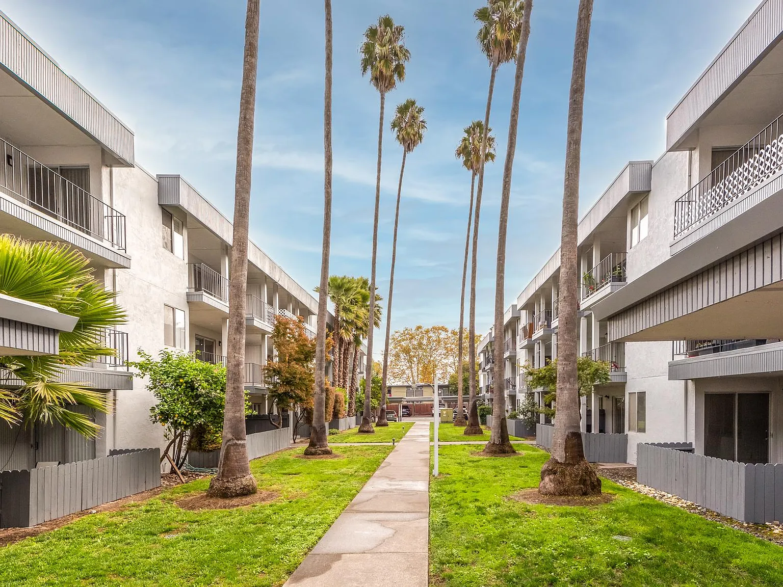 The Palms at Coddingtown — Photo 1