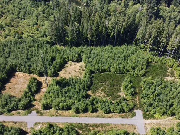 9999 King Johns-Lot 1 Raven SP Way, Forks, WA 98331