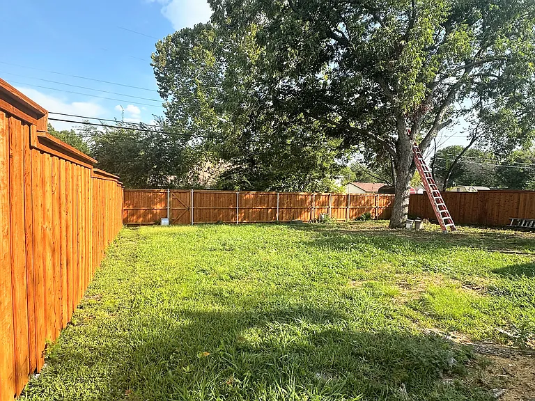 Live Oak Dr — Photo 5