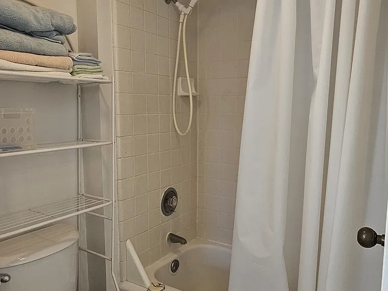 Shower with tub