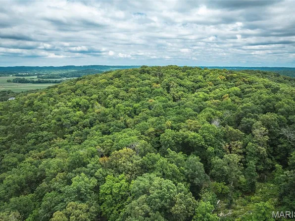 3 Trails End Trl, House Springs, MO 63051