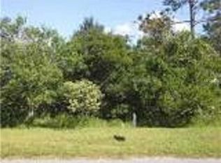 20406 Paddock St, Orlando, FL 32833