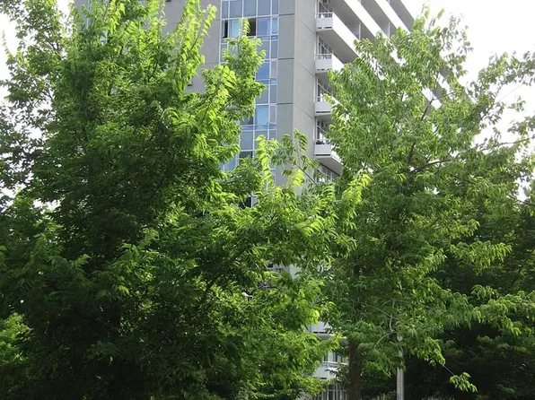 580 Christie St, Toronto, ON