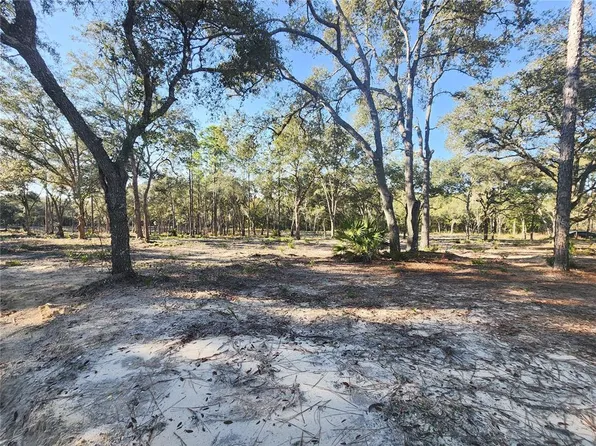 NE 122nd Ct, Bronson, FL 32621