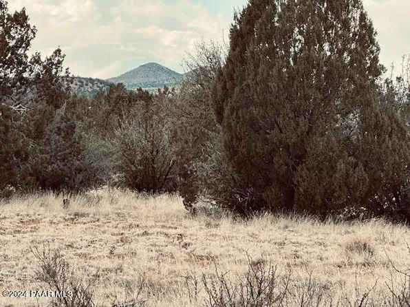 301-31-453NE N Deliverance Rd, Seligman, AZ 86337