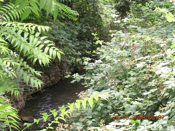 Year round creek on left side