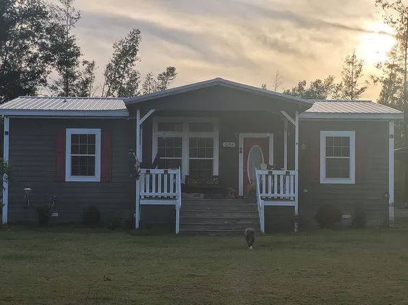 234 SE Black Hawk Dr, Lee, FL 32059