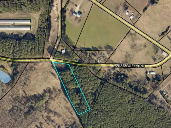 0 Jess Guest Rd, Dewy Rose, GA 30634