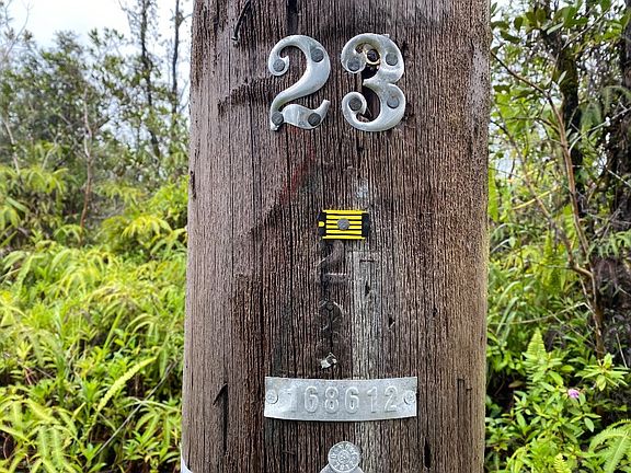 5th image of 39th Ave Lot 39