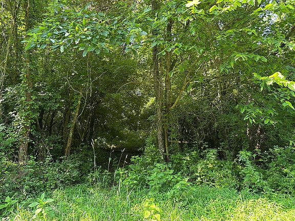 5th image of 5205 Whitton Rd