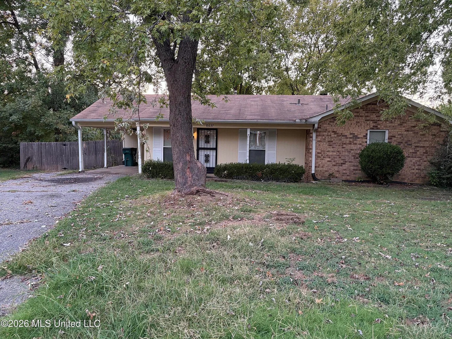 3 bed, 1.5 bath, 1331 sqft, $1,450 — Photo 3