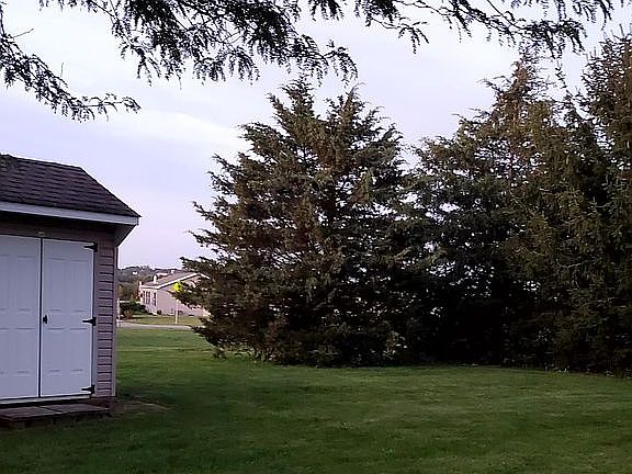 Yard @ Shed side