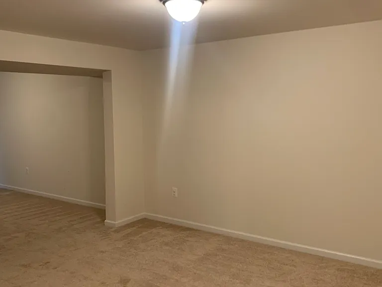 2446 Towering Oak Ct — Photo 5