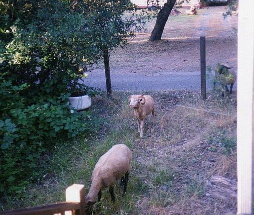 1989 front stairs and origin