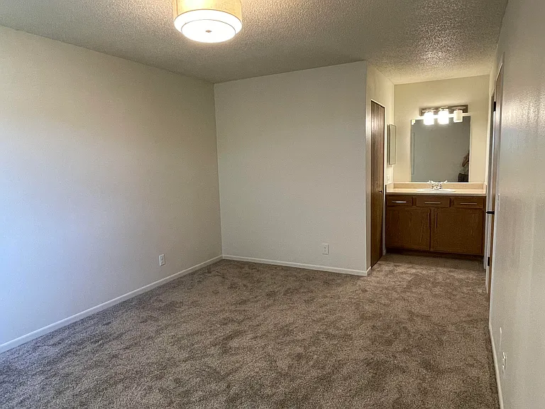 Master bedroom with en-suite sink and vanity and large walk-in closet