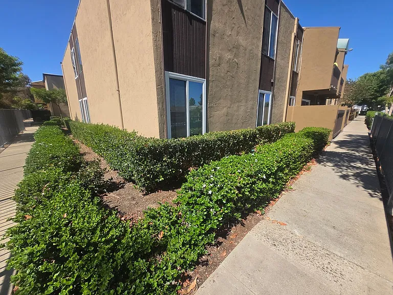 3454 Castle Glen Dr #113 — Photo 51