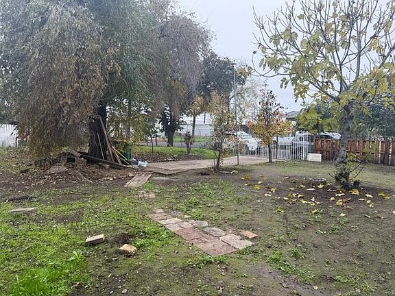 5th image of 1802 E Anita St