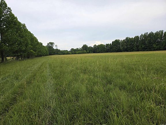 3rd image of 0 Greene 611 Rd Tract B-2