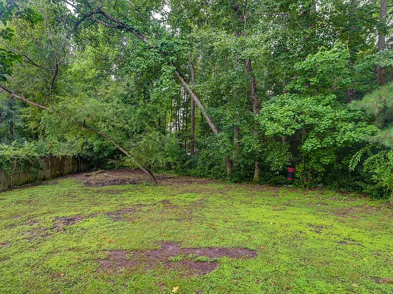 109 Gibson Forest Dr — Photo 30